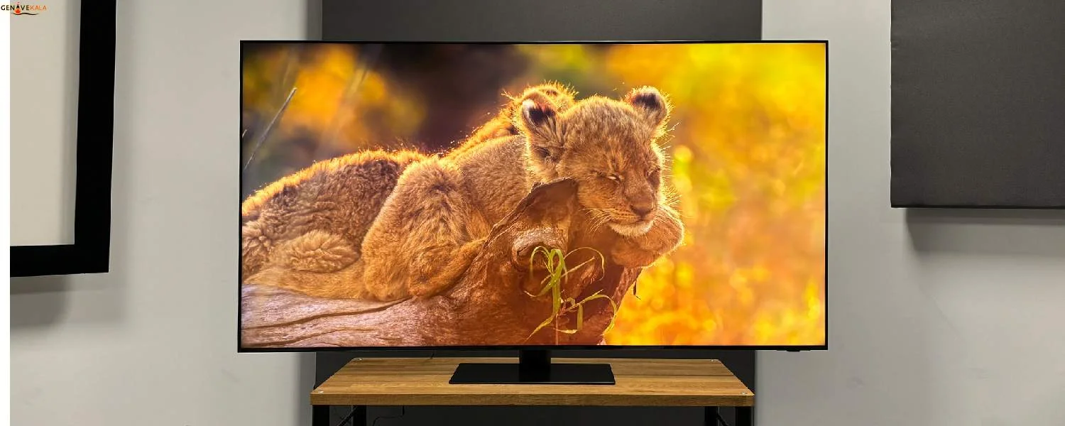 صفحه نمایش Neo QLED تلویزیون سامسونگ QN95D