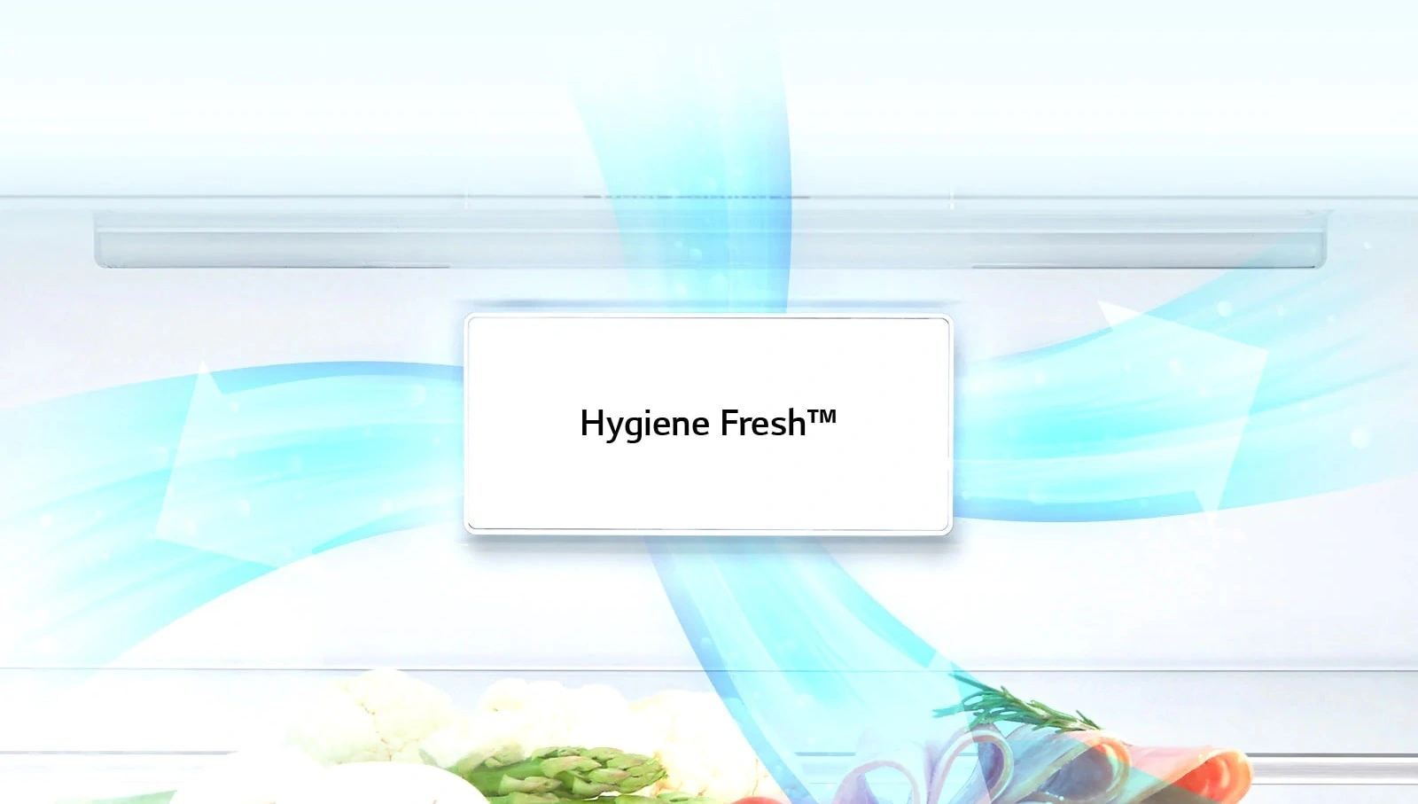 Hygiene Fresh یا فیلتر بهداشتی یخچال فریزر بالا پایین 30 فوت ال جی مدل GR-B822HLPM